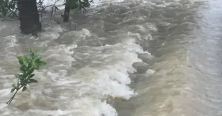 ফেনীতে পানি নামছে, কিন্তু দুর্ভোগ কমেনি; বন্যায় ক্ষতিগ্রস্ত লক্ষাধিক মানুষ